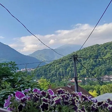 아파트 Slatki Dom Fireplace